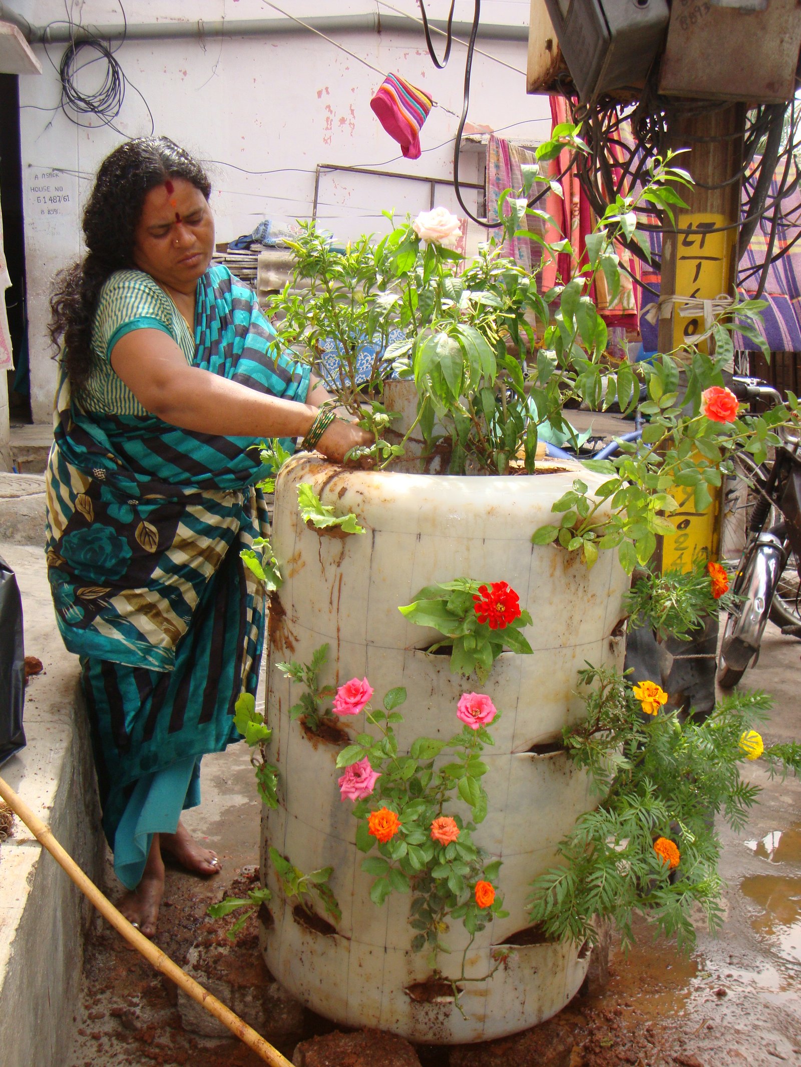 Biointensive Gardening